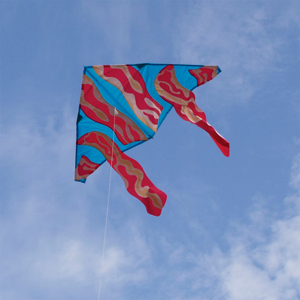 56 in. Delta Kite - Bacon