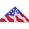 56 in. Delta Kite - Patriotic