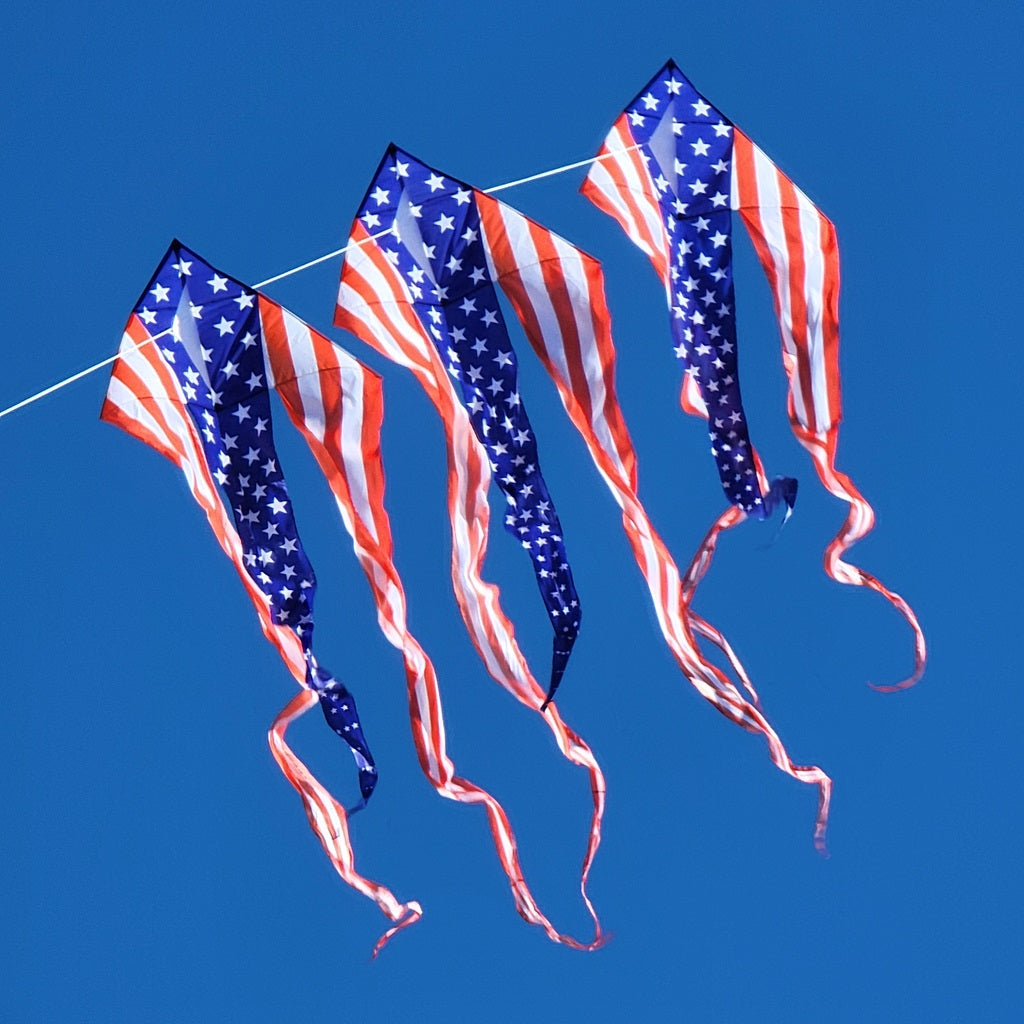 46 in. Flo-Train Delta Kite - Patriotic (3-Pack Kite Bundle)