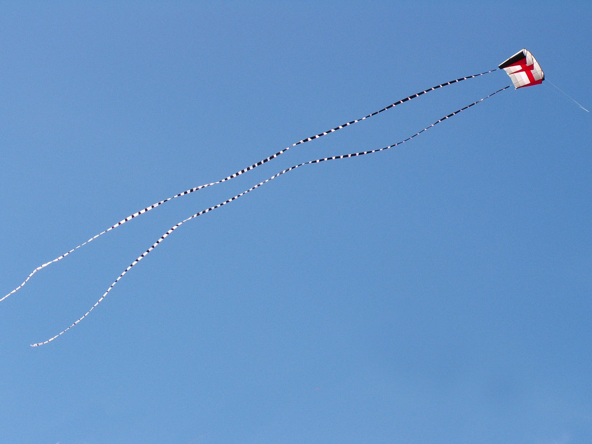 5 in. x 100 ft. Transition Tail - Black/White