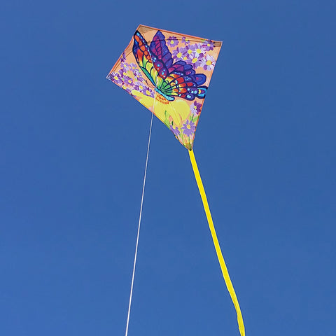 25 in. Diamond Kite - Butterfly and Wildflowers