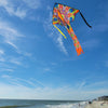 Large Easy Flyer Kite - Mandala