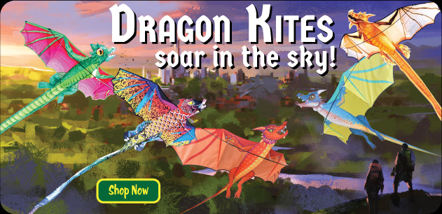 Dragon Kites soar in the sky!