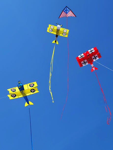 Giant Sopwith Camel Biplane Kite