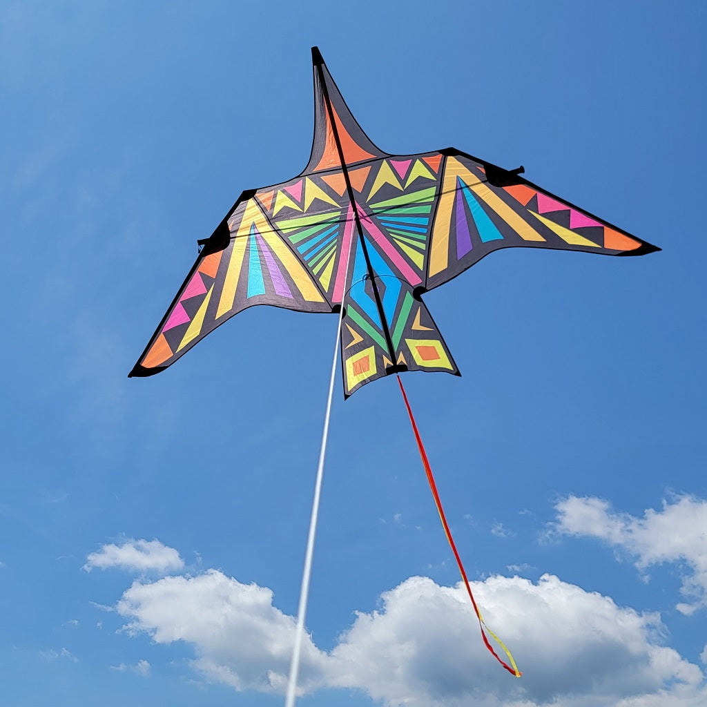 NEW Collections Kites – Premier Kites & Designs