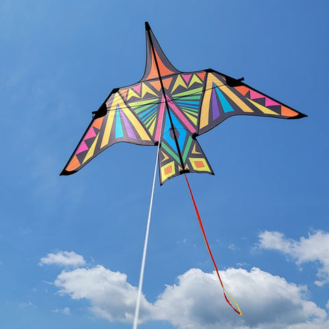 Thunderbird Kite - 16 ft. Rainbow Geometric