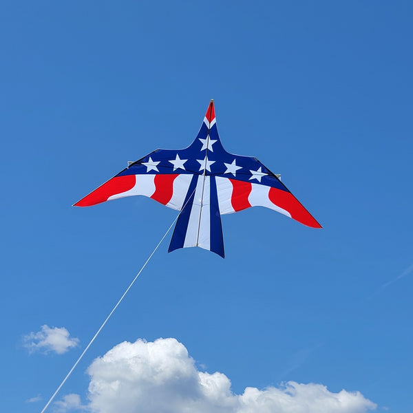 Thunderbird Kite 16 ft. Patriotic Premier Kites & Designs