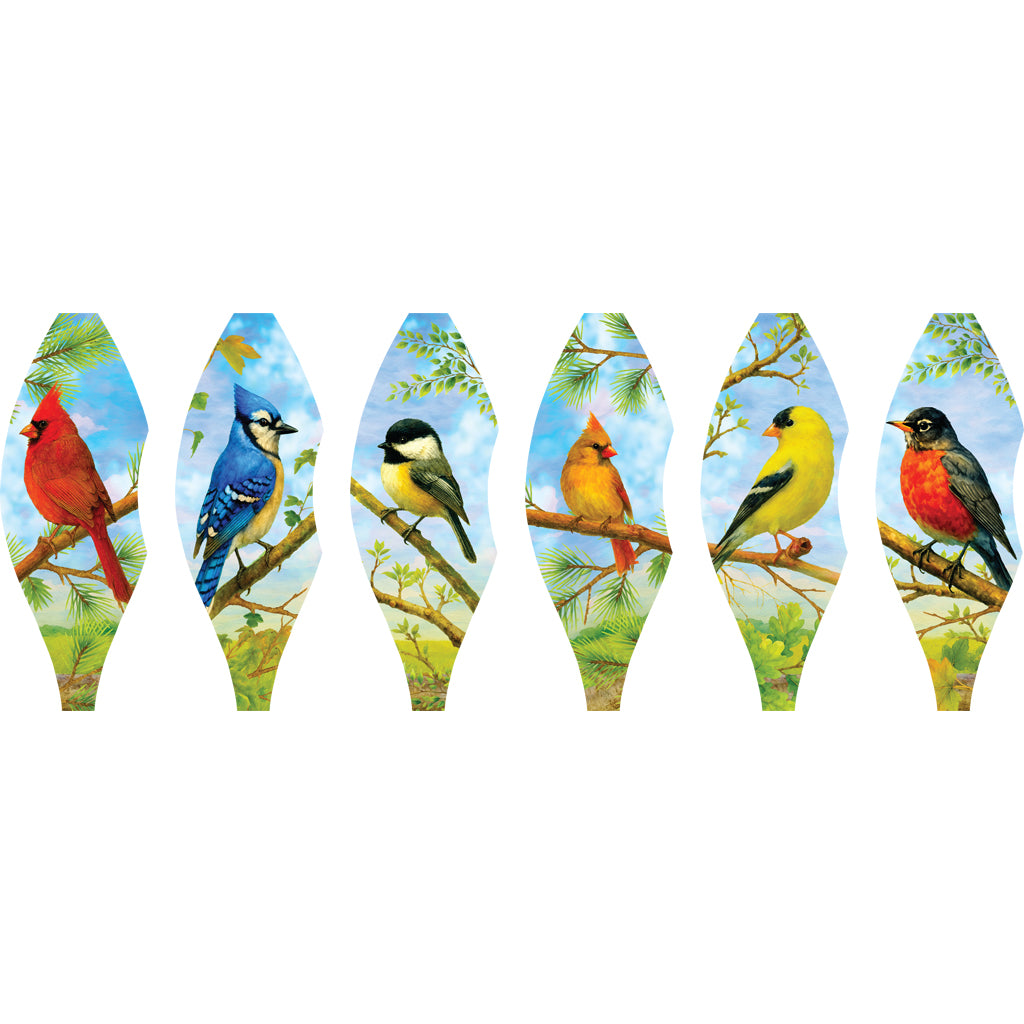 19 in. Pop-Open Hot Air Balloon - Northeast Birds
