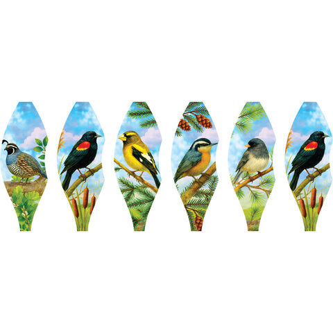 19 in. Pop-Open Hot Air Balloon - Northwest Birds