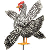 12 in. WhirliGig Spinner - Chicken