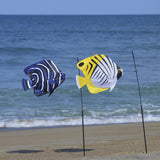 Swimming Fish - Angelfish