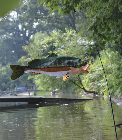 Swimming Fish - Bass