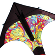 T-Delta Kite - Rainbow Orbit