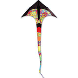 T-Delta Kite - Rainbow Orbit