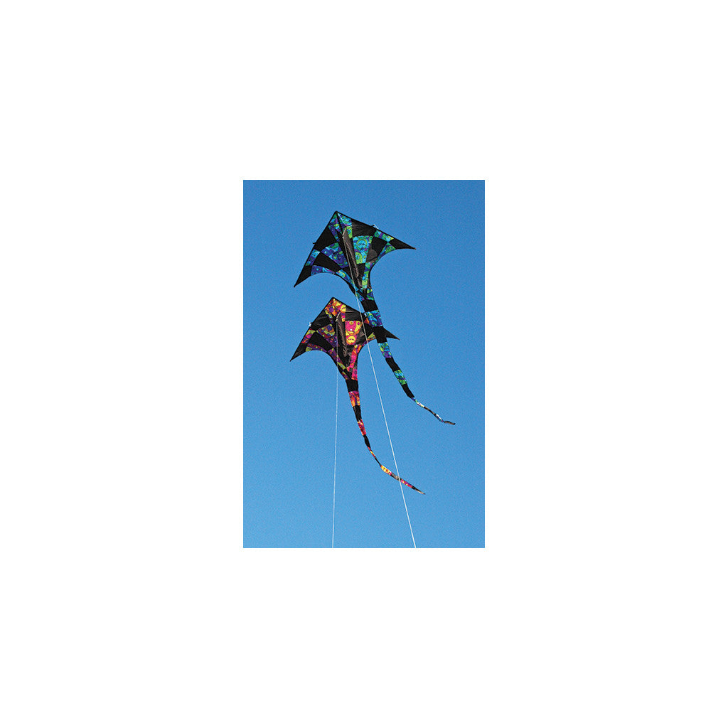 T-Delta Kite - Warm Orbit