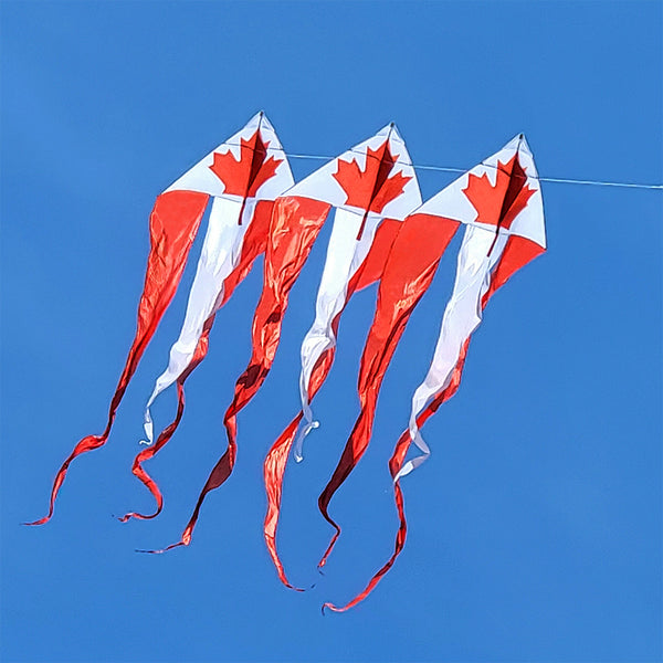 46 in. Flo-Train Delta Kite - Canada Flag (3-Pack Kite Bundle)