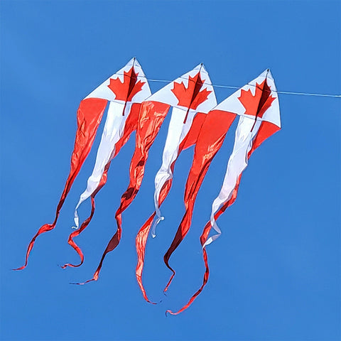 46 in. Flo-Train Delta Kite - Canada Flag (3-Pack Kite Bundle)