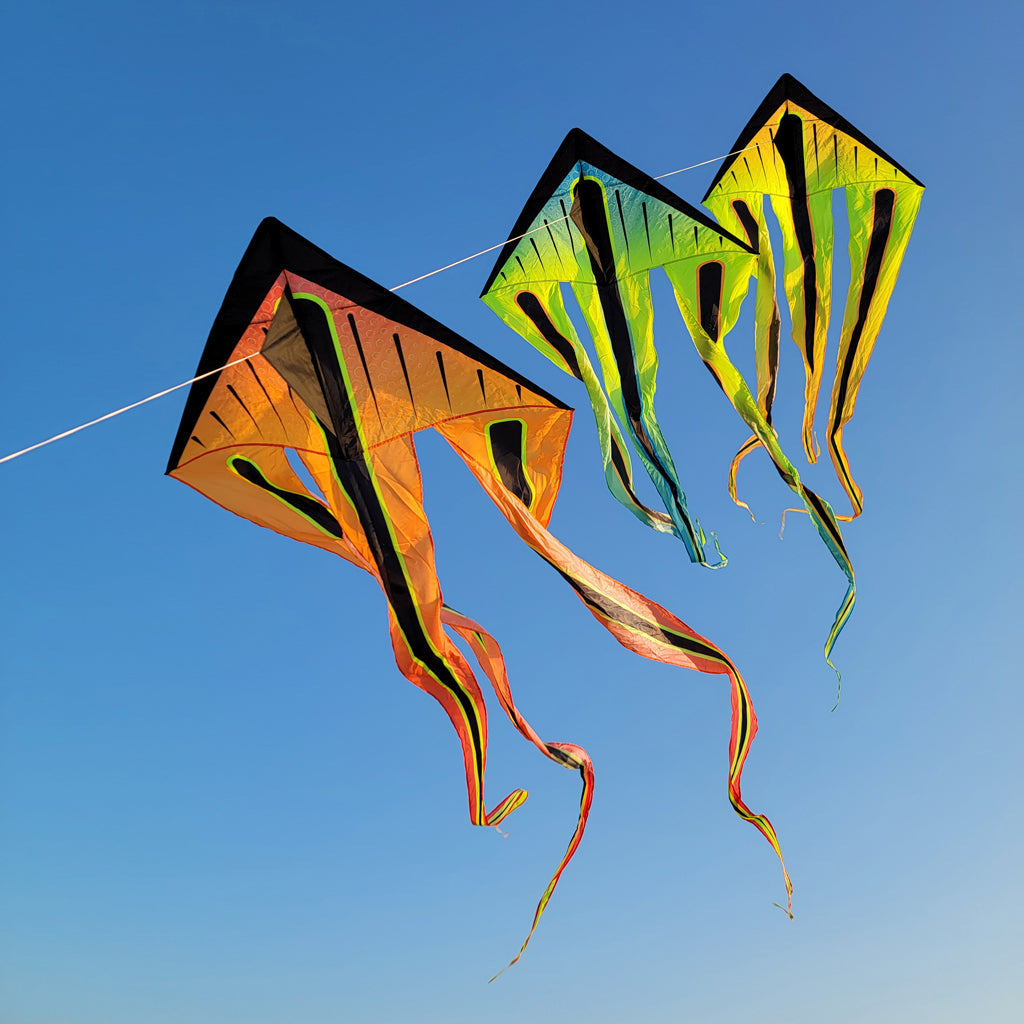 Premier Kites & Designs