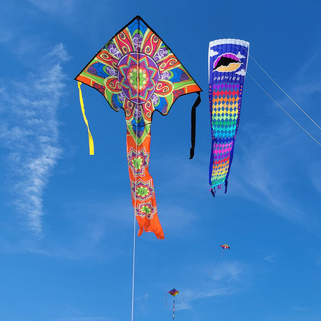 Large Easy Flyer Kite - Mandala