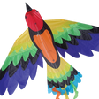 Rainbow Bird Kite