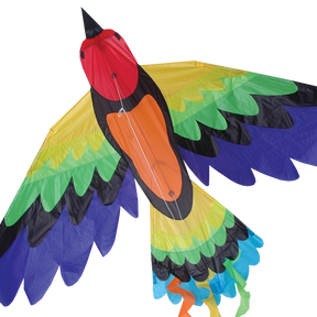 Rainbow Bird Kite