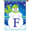 28 in. Winter Monogram Flag - F