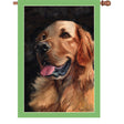 28 in. Flag - Golden Friend