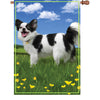 28 in. Flag - Panda the Chihuahua