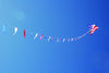 100 ft. Flag Line - Patriotic