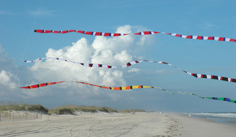 3 in. x 50 ft. Transition Tail - Patriotic
