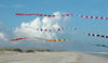 3 in. x 25 ft. Transition Tail - Rainbow