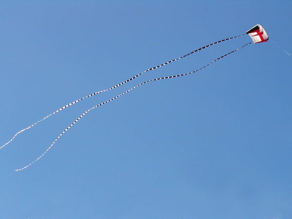 5 in. x 100 ft. Transition Tail - Black/White