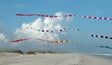5 in. x 100 ft. Transition Tail - Patriotic