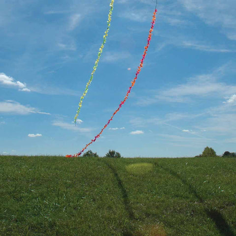 6 in. Fuzzi Tail - Pink Gradient