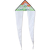 Coloring Kite - Dinosaurs