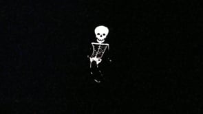 21 ft. Skeleton Kite - Reflective