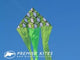 6.5 ft. Flo-Tail Delta Kite - Green