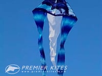 6.5 ft. Flo-Tail Delta Kite - Dolphin