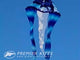 6.5 ft. Flo-Tail Delta Kite - Dolphin