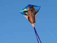 30 in. Diamond Kite - Quokka