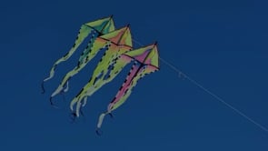 46 in. Flo-Train Delta Kite - Canada Flag (3-Pack Kite Bundle)