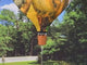 19 in. Pop-Open Hot Air Balloon - Owls