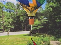 19 in. Pop-Open Hot Air Balloon - Parrots