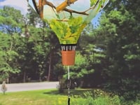 19 in. Pop-Open Hot Air Balloon - Midwest Birds