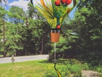 19 in. Pop-Open Hot Air Balloon - Southwest Birds