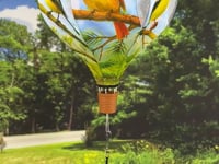 19 in. Pop-Open Hot Air Balloon - Northeast Birds
