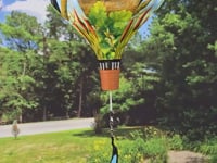 19 in. Pop-Open Hot Air Balloon - Northwest Birds