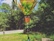 19 in. Pop-Open Hot Air Balloon - Northwest Birds