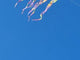 46 in. Flo-Train Delta Kite - Unicorn (Single Kite)
