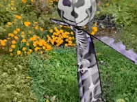 Spinning Friend - Skeleton